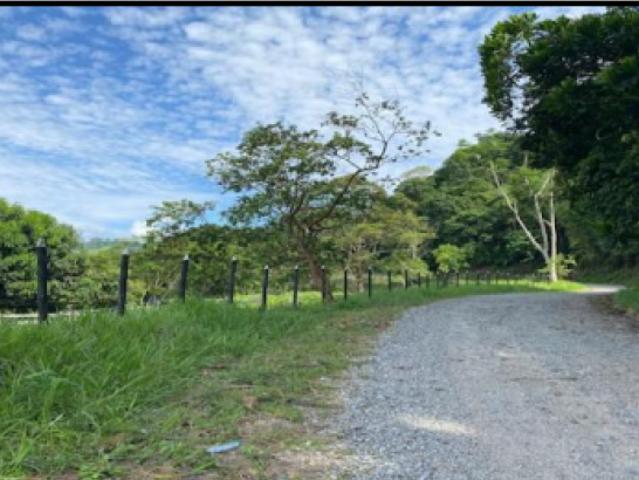 Finca En Venta En San Carlos En Vereda La Palmira V302754