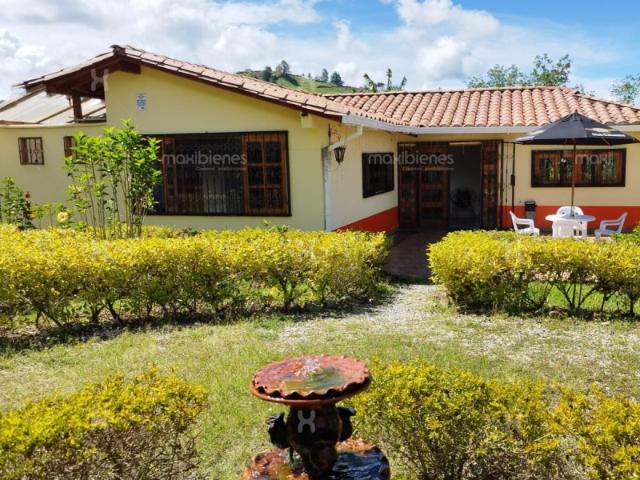 Finca En Venta En Guatape En La Pena V361612