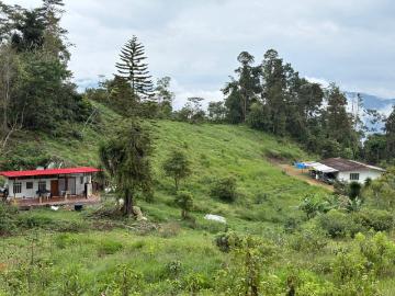 Finca En Venta En Guaduas En Vereda La Carbonera, Guaduas V374420