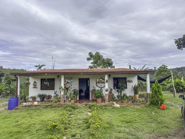 Finca En Venta En Lebrija En Vereda Buenavista V371978