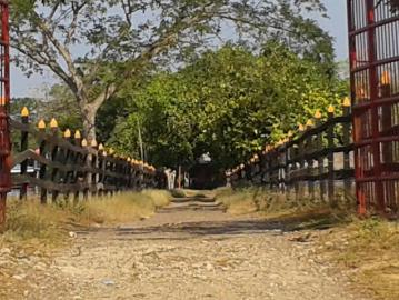 Finca En Venta En Mahates En. V150736