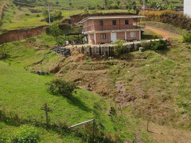 Finca En Venta En Marinilla En Vereda El Pozo V199045