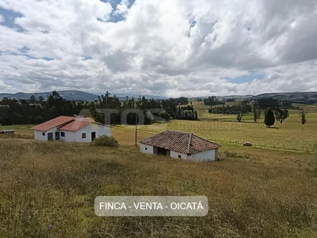 Finca En Venta En Oicata En Vereda Santa Barbara V348256