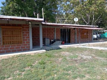 Finca En Venta En Olaya En Olaya V366001