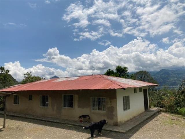 Finca En Venta En Pacho En Pacho V291547