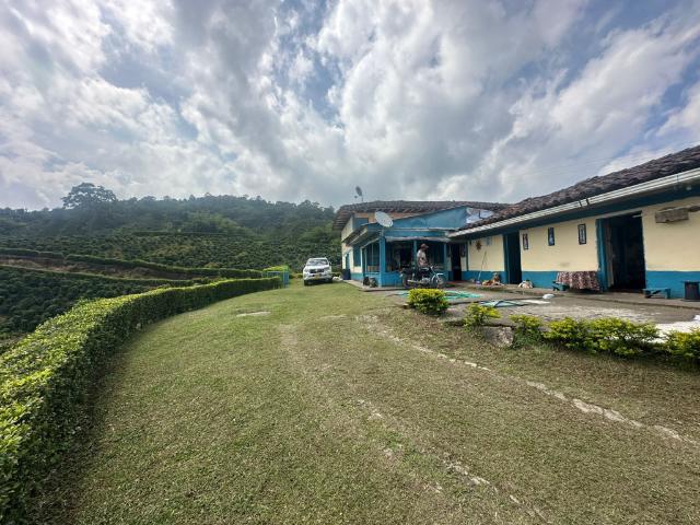 Finca En Venta En Pereira En Maraya V310953