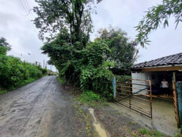 Finca En Venta En Pereira En Alamos V301899
