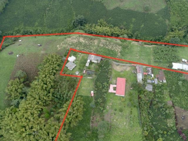 Finca En Venta En Pereira En Via Armenia V302671