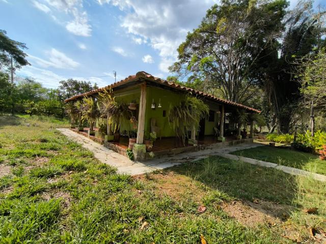 Finca En Venta En Pinchote En Vereda El Cucharo V313110