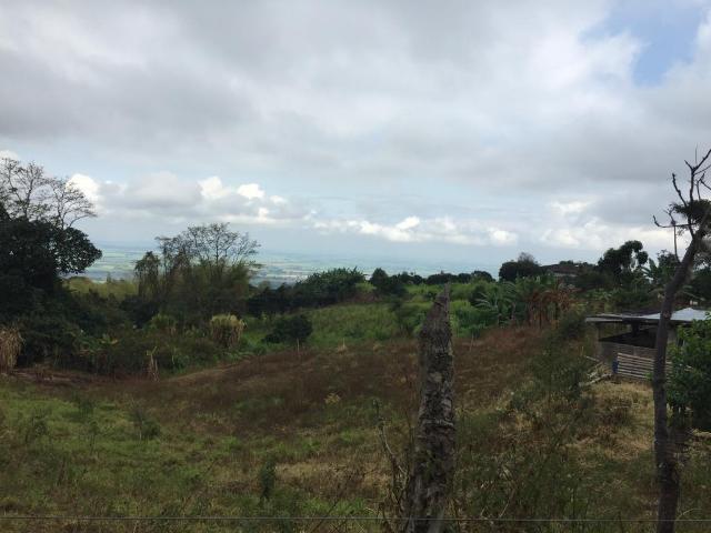 Finca En Venta En Pradera En Corregimiento De San Isidro V199770
