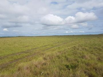 Puerto Carreño, Vichada