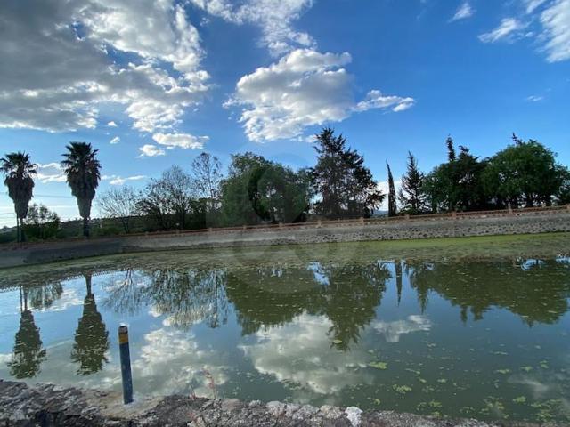 Finca en venta en Rancho o rancheria Palmillas