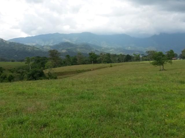 Finca En Venta En Restrepo En Restrepo V237298