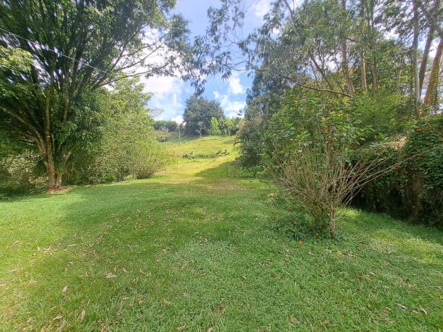 Finca En Venta En Rionegro V315388