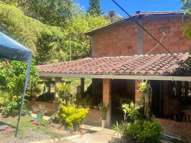 Finca En Venta En Rionegro En Centro V257129