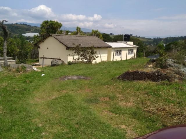 Finca En Venta En Santa Sofia En Barbilla Y Mane V291334