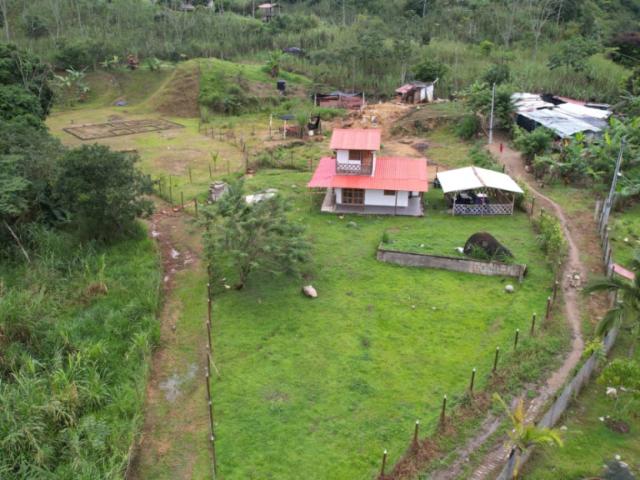 Finca En Venta En Santo Domingo En Vereda La Palma V383049