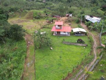 Finca En Venta En Santo Domingo En Vereda La Palma V383049
