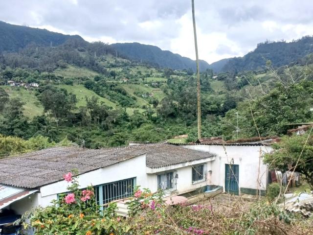 Finca En Venta En San Antonio Del Tequendama En Vereda Arracachal V409197