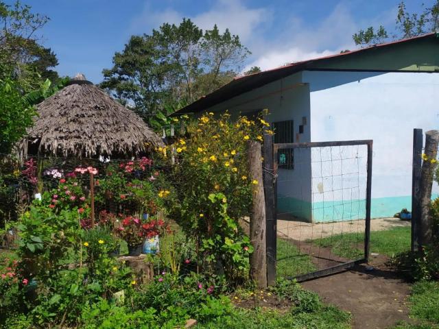 Finca En Venta En San Jose De Pare En Vereda San Roque V45599