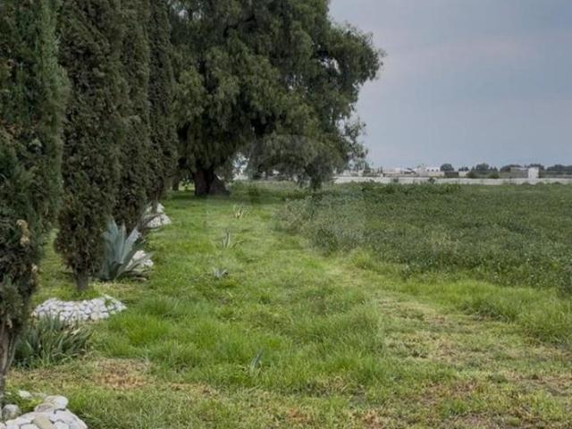 Finca en venta en San Lucas Xolox