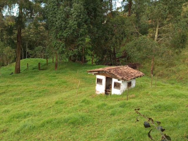 Finca En Venta En San Pedro En San Pedro De Los Milagros V373913