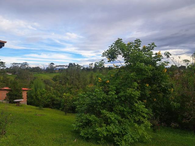 Finca En Venta En San Vicente En Vereda San Luis V315393