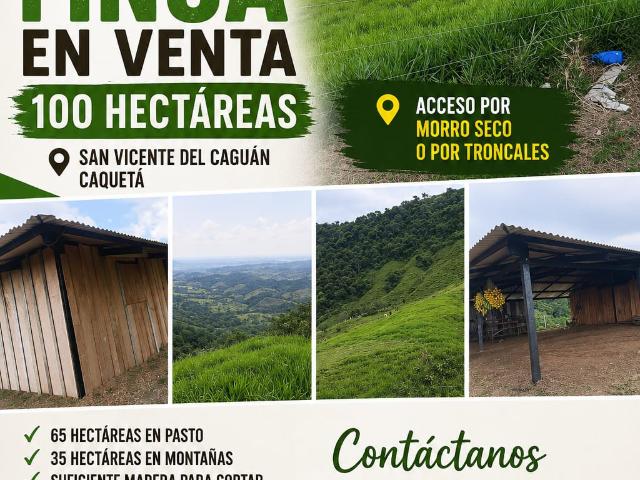 Finca En Venta En San Vicente Del Caguan En Morro Seco V394460