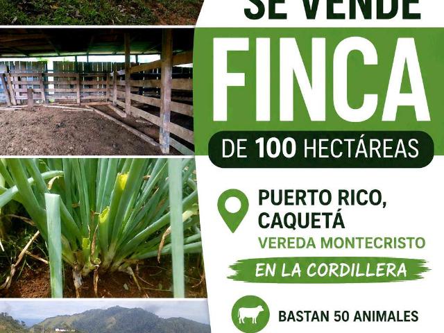 Finca En Venta En San Vicente Del Caguan En Vereda Montecristo V394459
