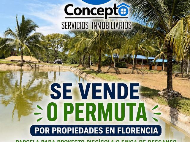 Finca En Venta En San Vicente Del Caguan En Via Troncales V393025