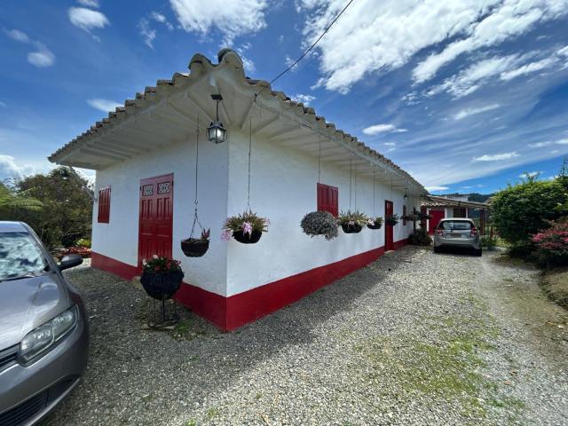 Finca En Venta En San Vicente En San Vicente Ferrer V273409