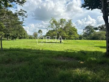 Finca En Venta En Sabana De Torres En Vereda Irlanda V332985