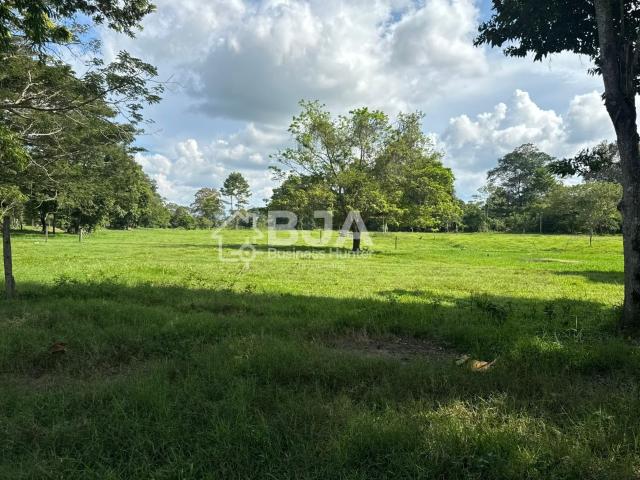 Finca En Venta En Sabana De Torres En Vereda Irlanda V332985