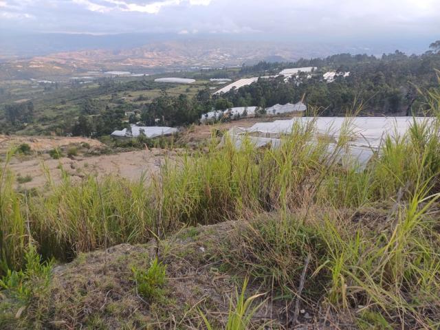 Finca En Venta En Sutamarchan En. V216817