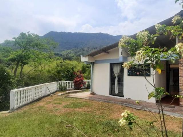 Finca En Arriendo En Villeta En Villeta A171854