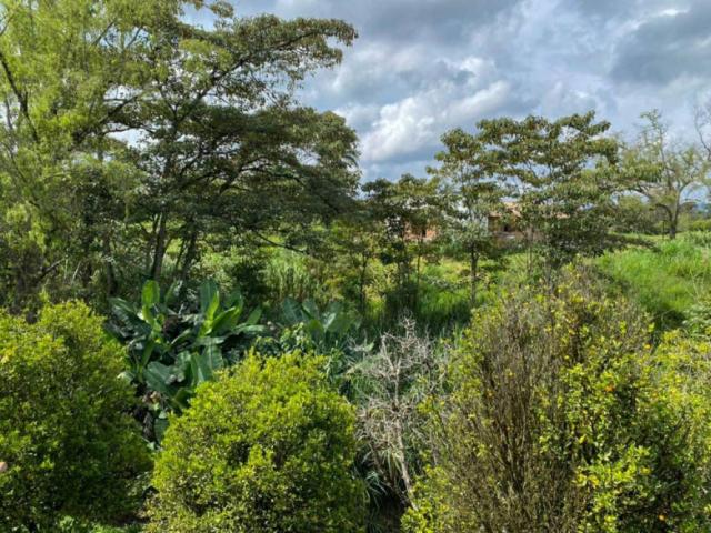 Finca En Arriendo En Rionegro En San Antonio A347179