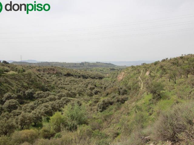 FINCA EN CORTIJO SAN JERÓNIMO BARTODANO