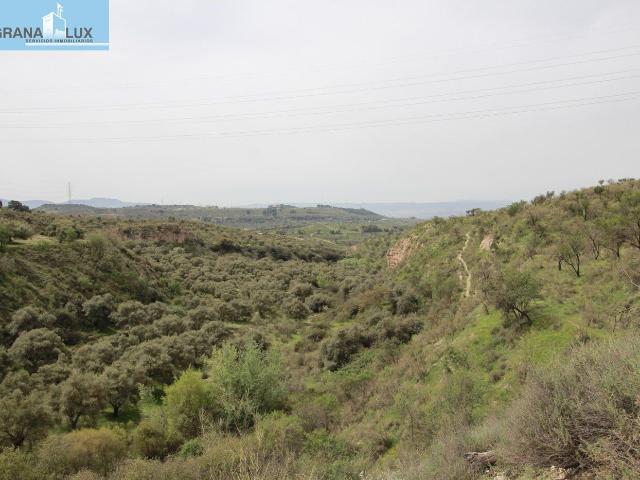 FINCA EN CORTIJO SAN JERÓNIMO BARTODANO