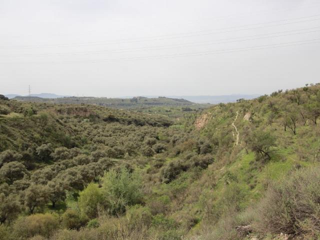 FINCA EN CORTIJO SAN JERÓNIMO BARTODANO