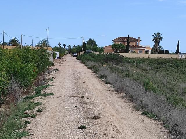 Finca en Crevillente