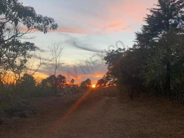 FINCA EN LA PETACA, CONCORDIA EN VENTA