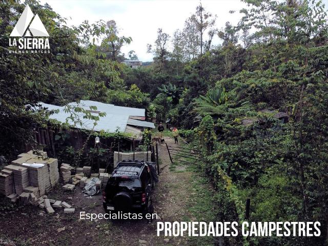 Finca en las afueras de Xicotepec de Ju?rez