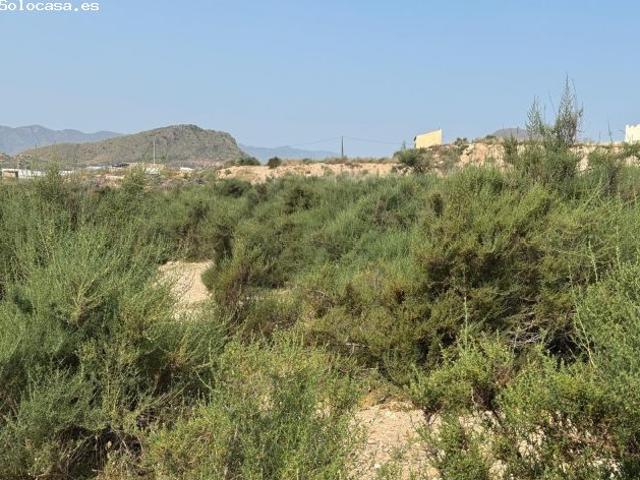 FINCA EN MAZARRRON DE 10.000 M2