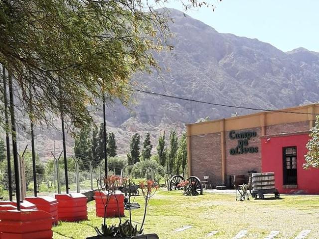 Finca en Rivadavia