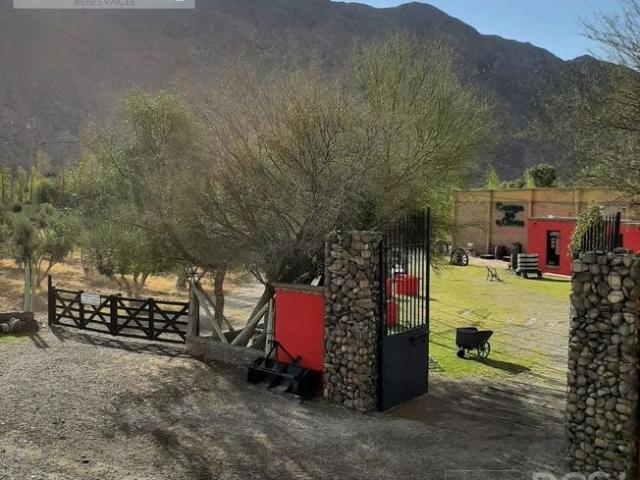 Finca en Rivadavia