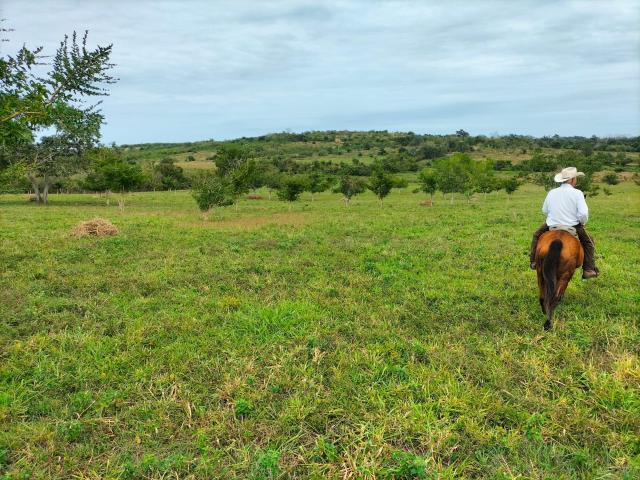 Finca en SAHAOP