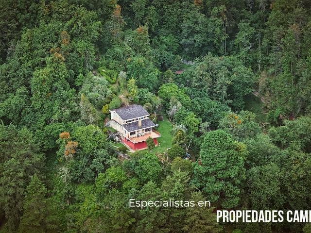 Finca Exclusiva para Proyecto Ecotur?stico en Huauchinango de 19.5 Hect?reas de Bosque Privado