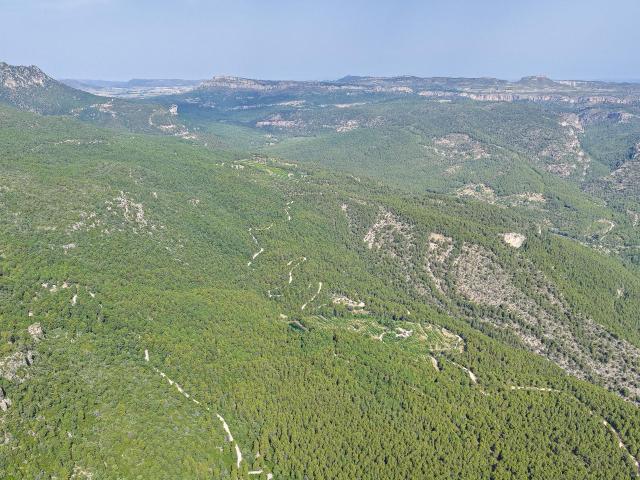 Finca Forestal de Alto Valor en venta en Moratalla, Murcia