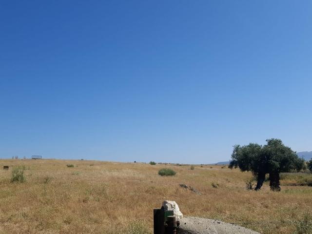 Finca ganadera de 15 hectáreas en Garrovillas