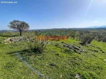 Finca ganadera en los riberos del rio Tajo